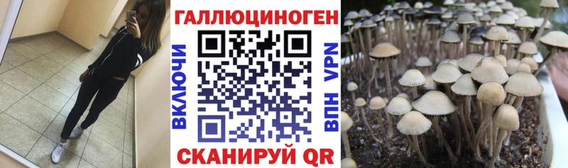 hydra рабочий сайт  Баксан  Псилоцибиновые грибы мухоморы  сколько стоит 